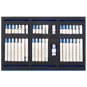 Draper 63515 40 Piece Screwdriver Insert Bit Set In 1/4 Drawer EVA Insert Tray